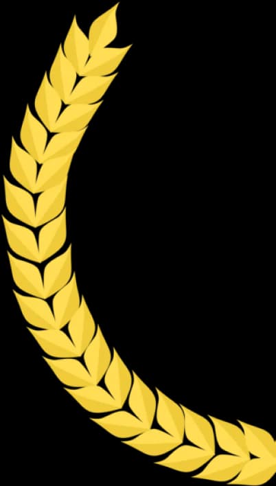certificate left icon