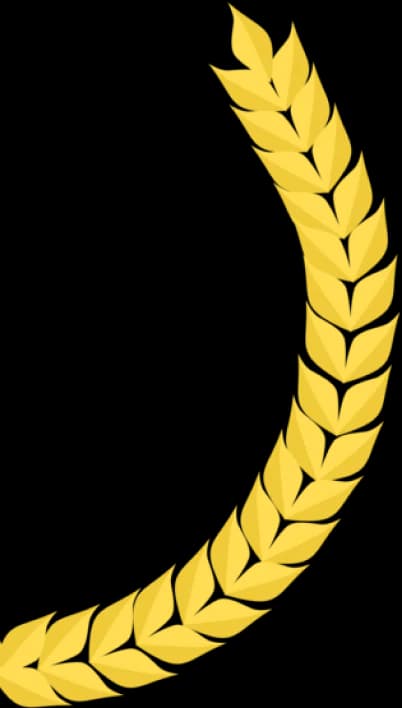 certificate right icon